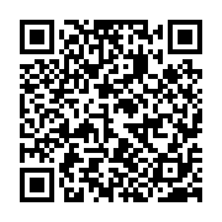QR code for IIN210