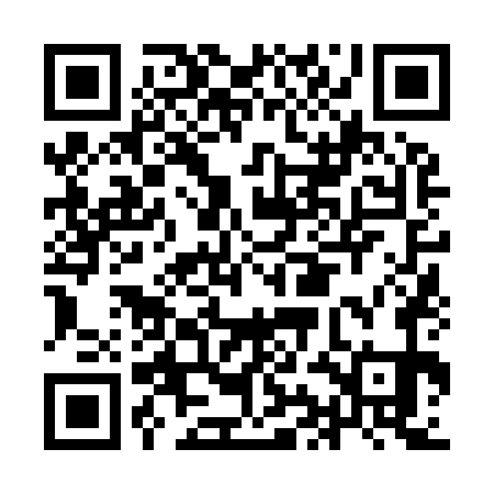 QR code for IIN971