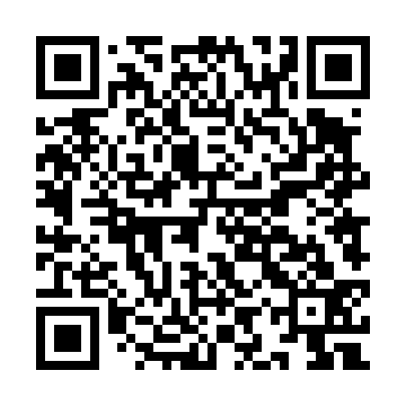 QR code for IIT433