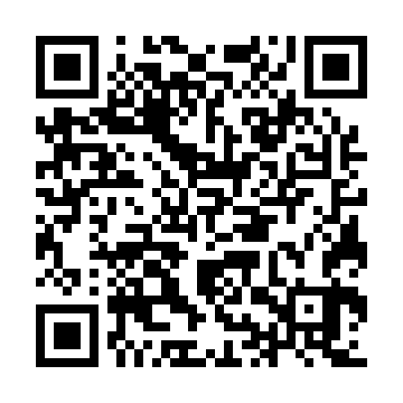 QR code for IIW163
