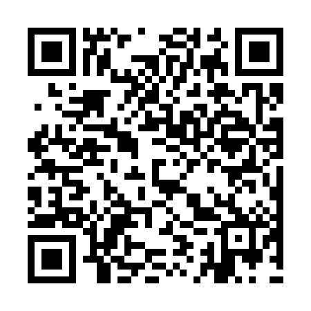 QR code for IIW382