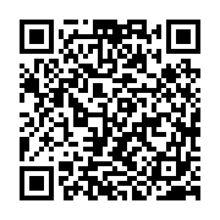 QR code for IIX273
