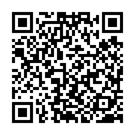 QR code for IIZ609
