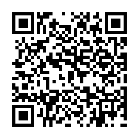 QR code for IJD307