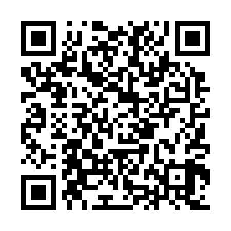 QR code for IJD309