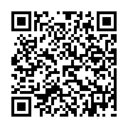 QR code for IJS771