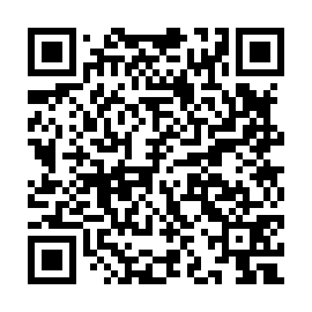 QR code for IJS871