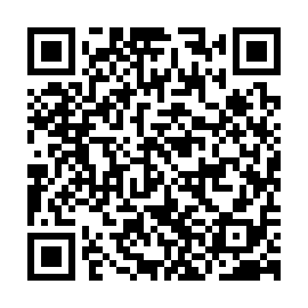 QR code for INI318