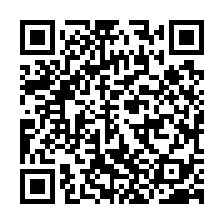 QR code for INJ739