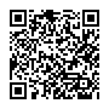 QR code for INM739