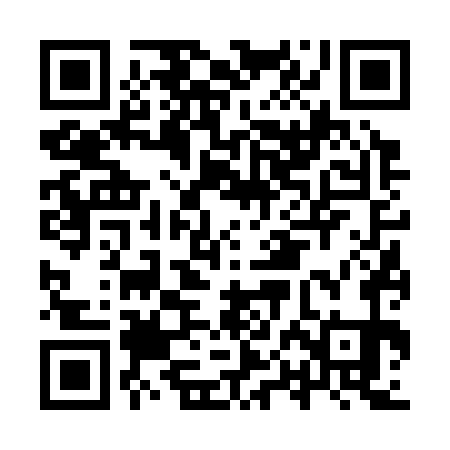 QR code for IPF371