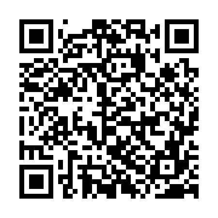 QR code for IPN376