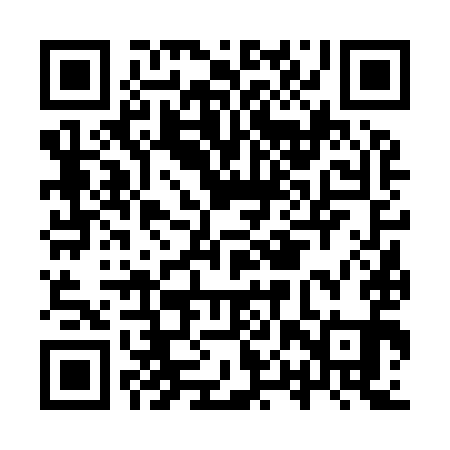 QR code for IPV991