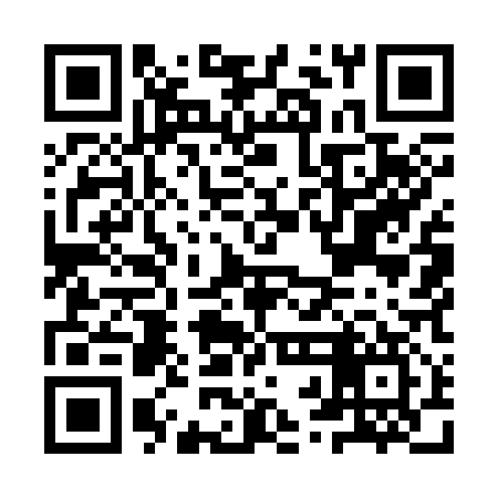 QR code for IRM317