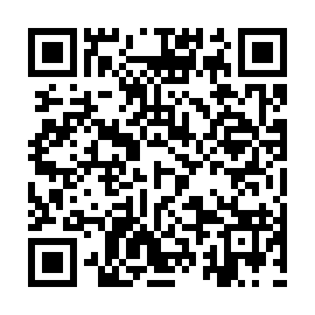 QR code for IRN393