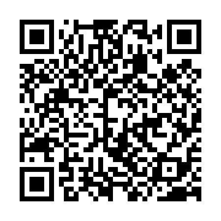 QR code for ISG419