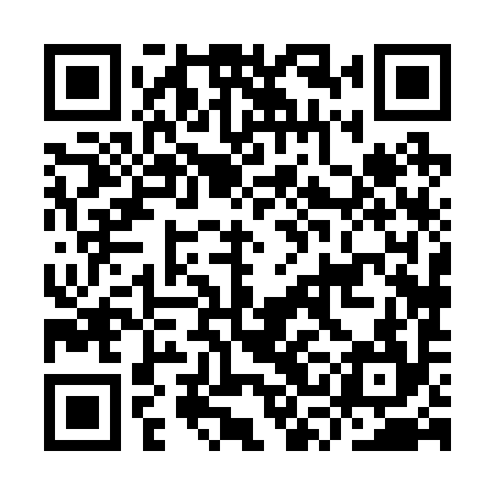 QR code for ISH294