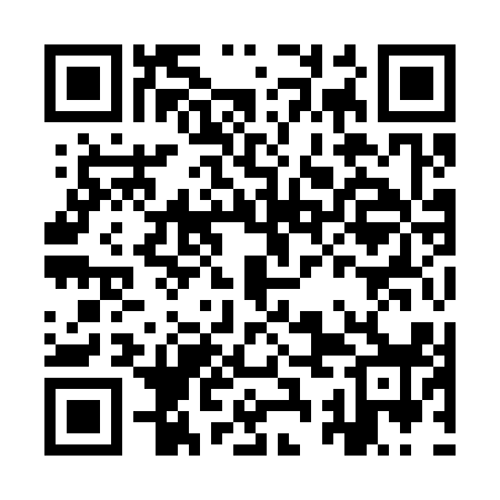 QR code for ISI318