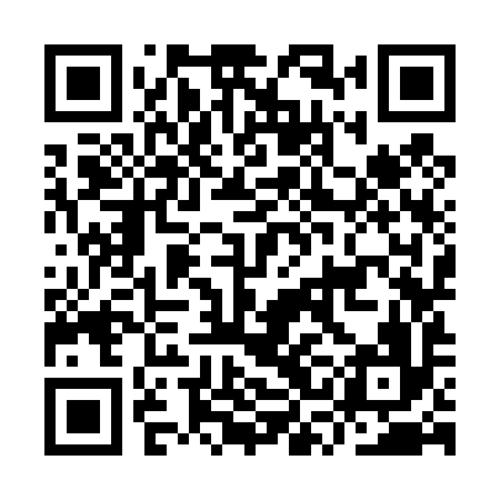 QR code for ISK496