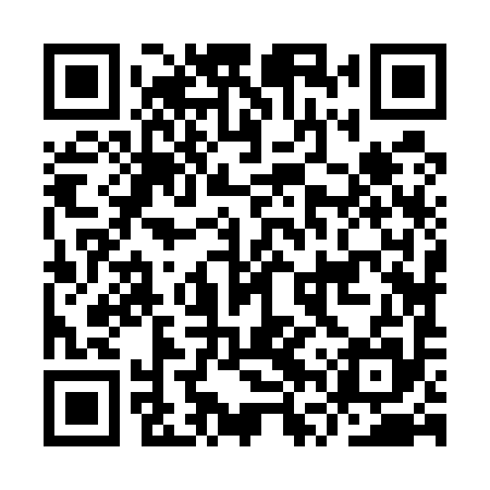 QR code for IVZ595