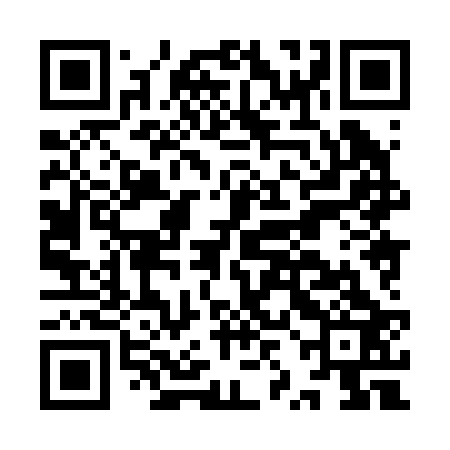 QR code for IZH223