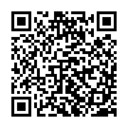 QR code for IZR541