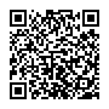QR code for IZR638