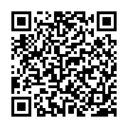 QR code for JAG313