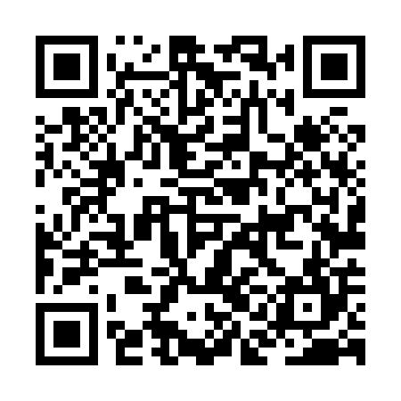 QR code for JAL804