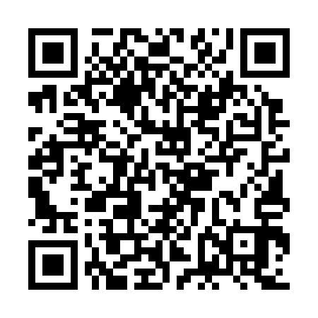 QR code for JFE313