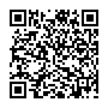 QR code for JMM384
