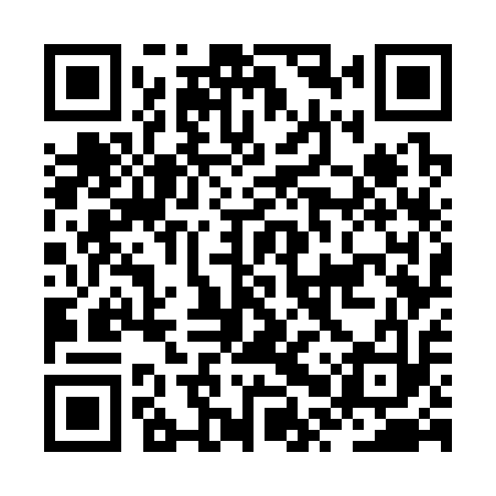 QR code for JPW313