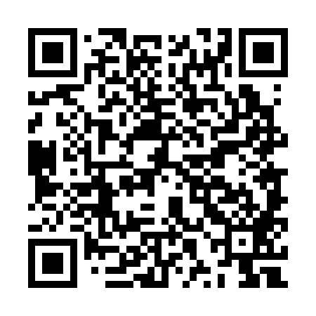 QR code for JXD389