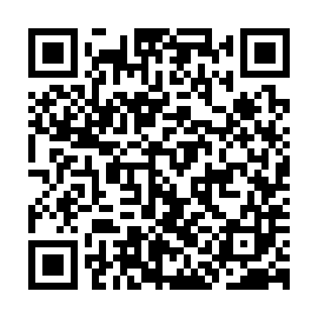 QR code for KAG383