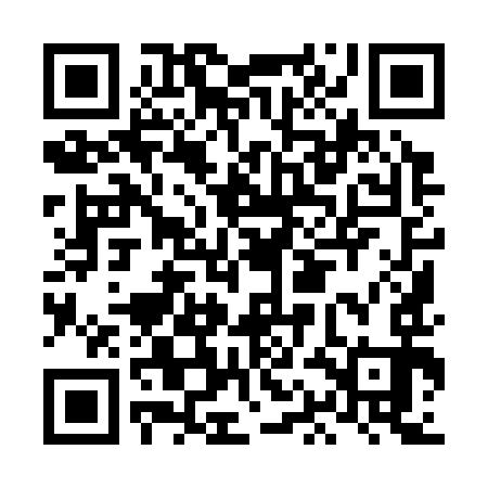QR code for LAI393