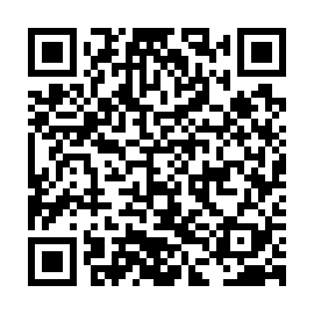 QR code for LDG729