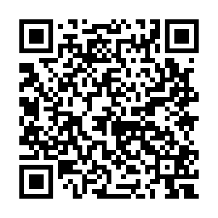 QR code for LDI101