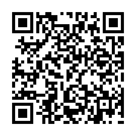 QR code for LDL381