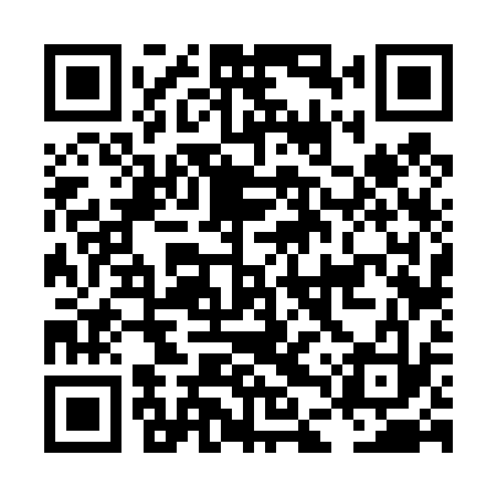 QR code for LDV433