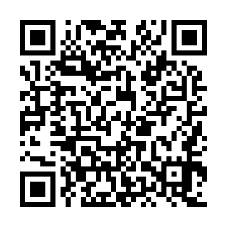 QR code for LEZ955