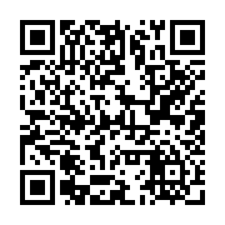 QR code for LFQ335