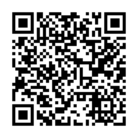 QR code for LFR386