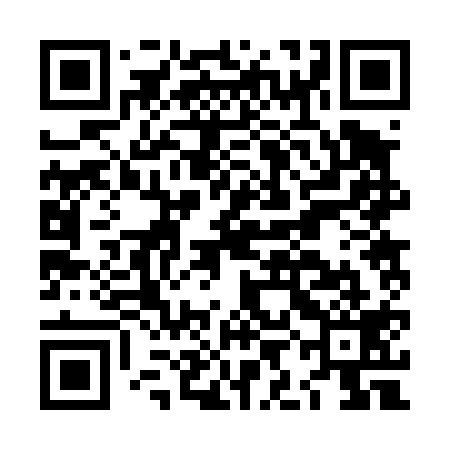 QR code for LIB419