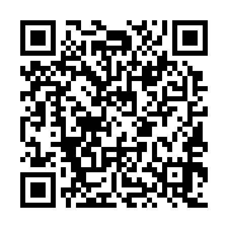 QR code for LIE355
