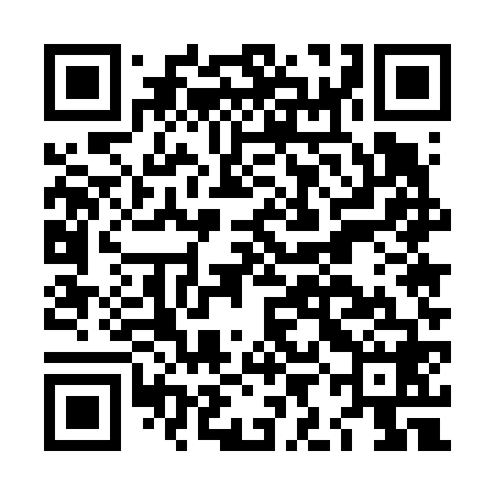 QR code for LIE668