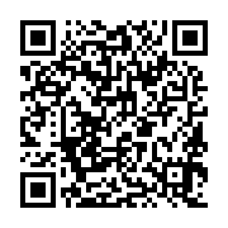QR code for LIE995