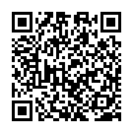 QR code for LIR368