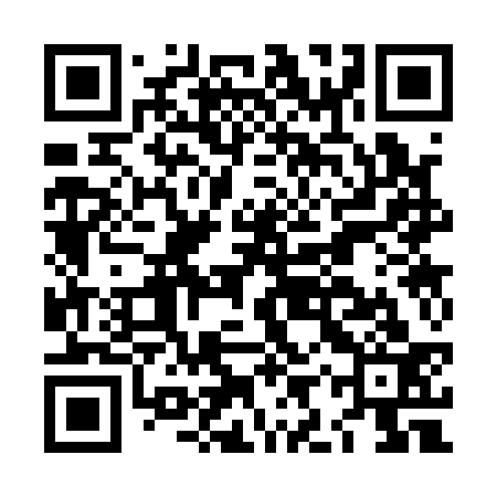 QR code for LIS133