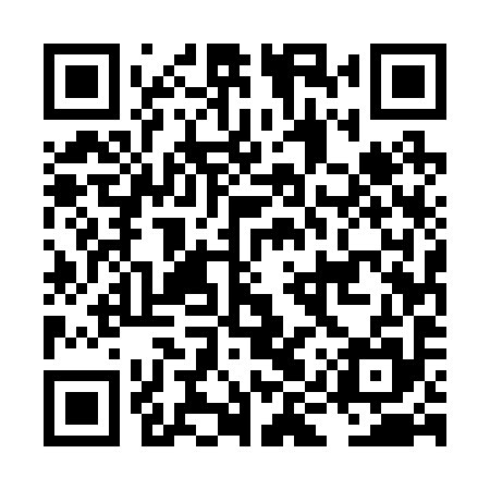 QR code for LIU295