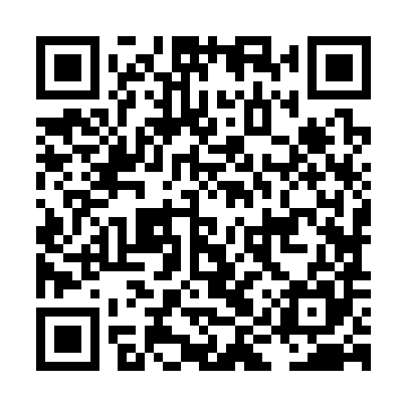 QR code for LIZ385